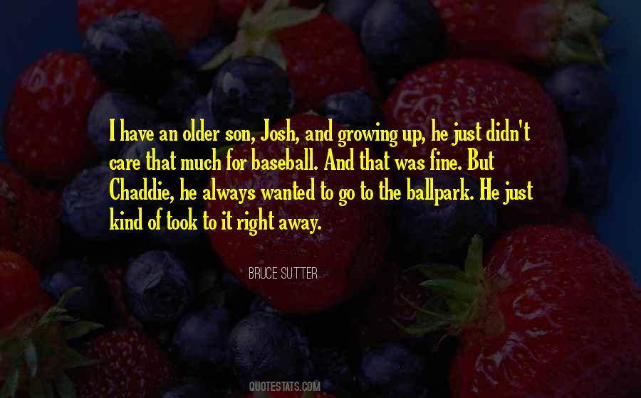 Bruce Sutter Quotes #461648