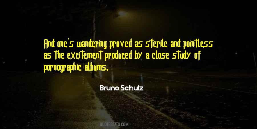 Bruno Schulz Quotes #165851