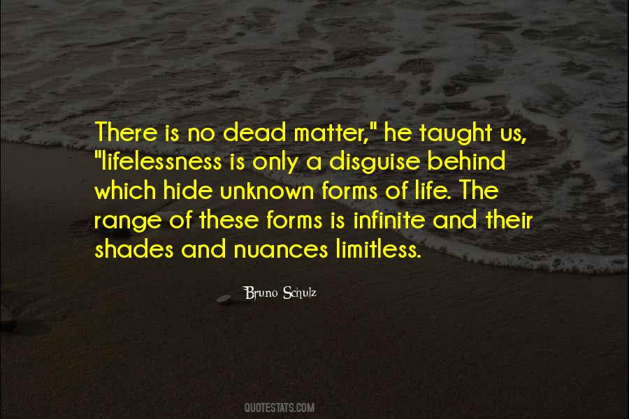 Bruno Schulz Quotes #1710183