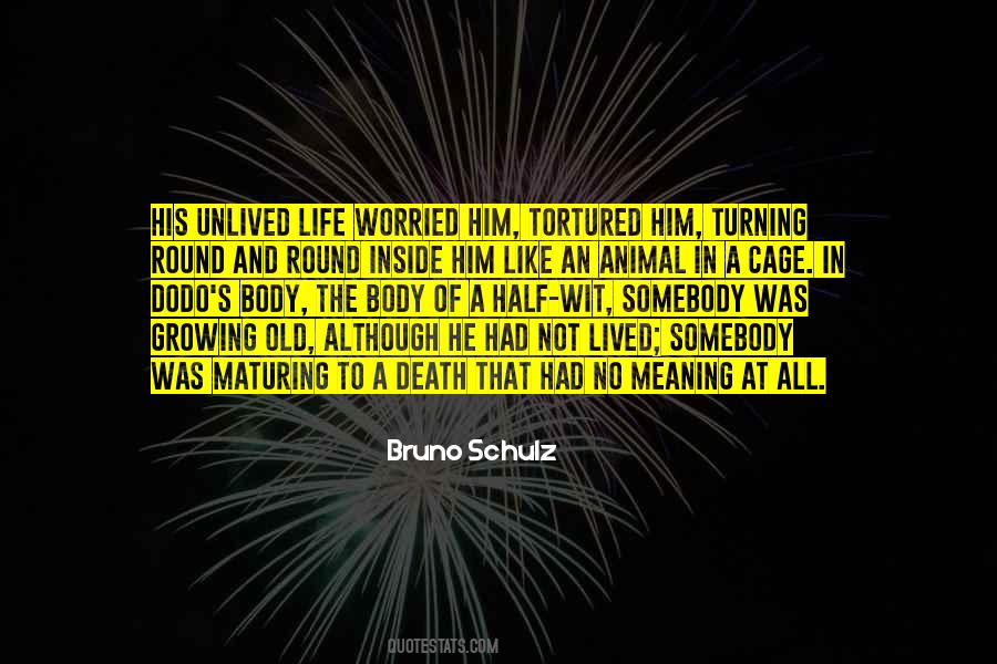 Bruno Schulz Quotes #1722593