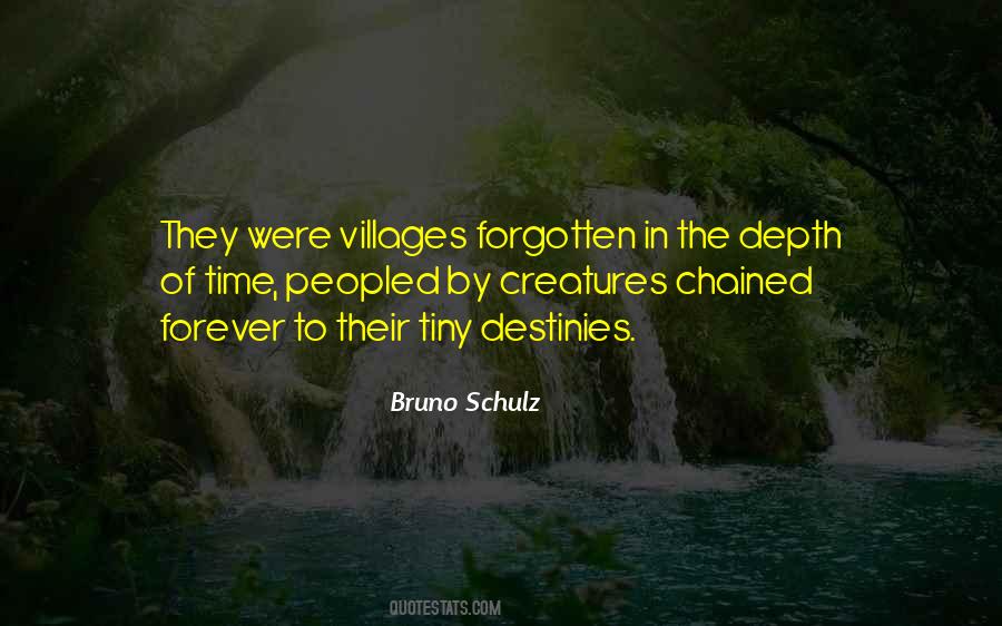 Bruno Schulz Quotes #237055