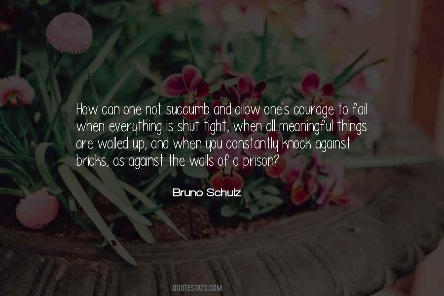 Bruno Schulz Quotes #546452