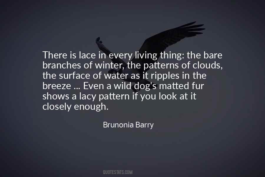 Brunonia Barry Quotes #1630726