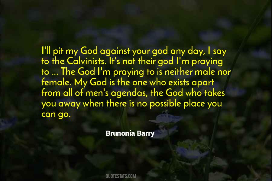 Brunonia Barry Quotes #755305