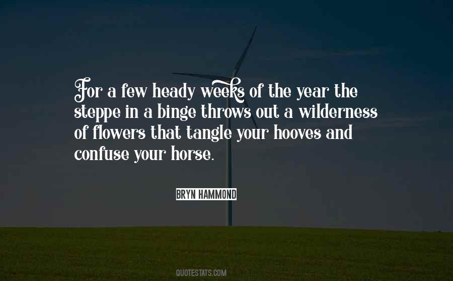 Bryn Hammond Quotes #1357584 Bryn Hammond Quotes #1357584