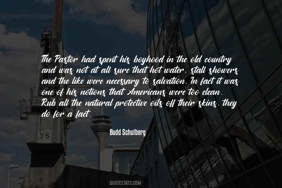 Budd Schulberg Quotes #1070014