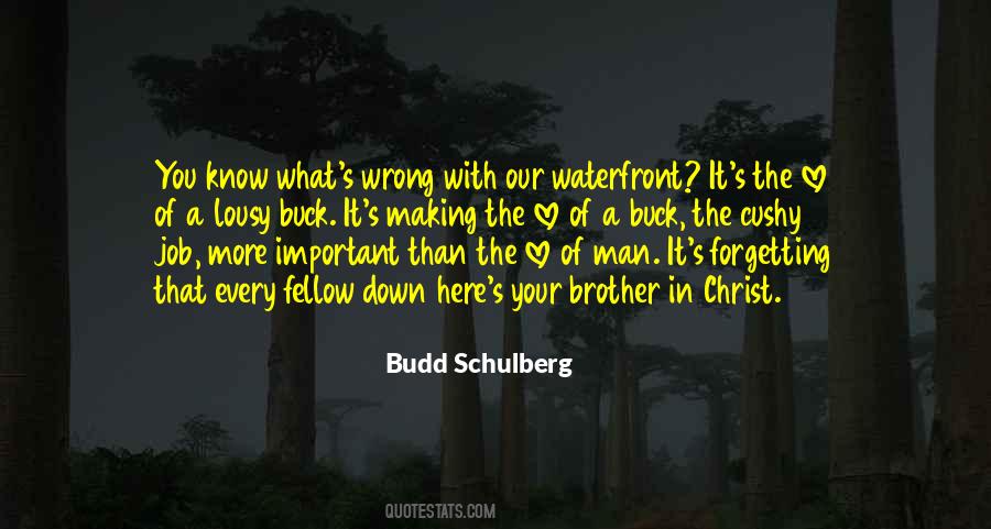 Budd Schulberg Quotes #1773357