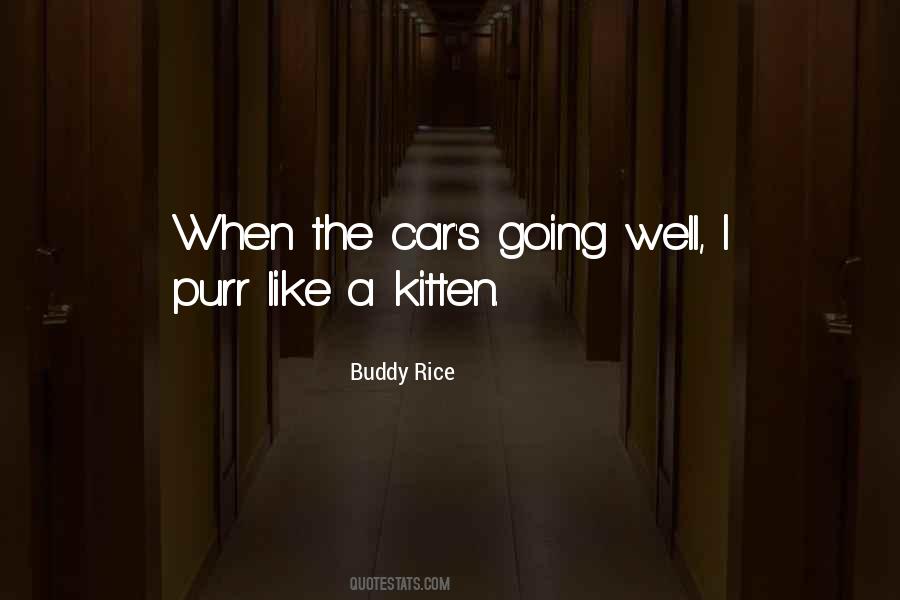 Buddy Rice Quotes #1737947