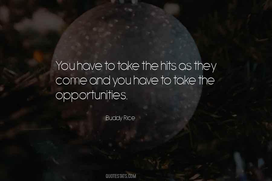 Buddy Rice Quotes #265227