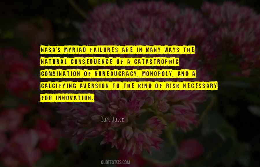 Burt Rutan Quotes #539360