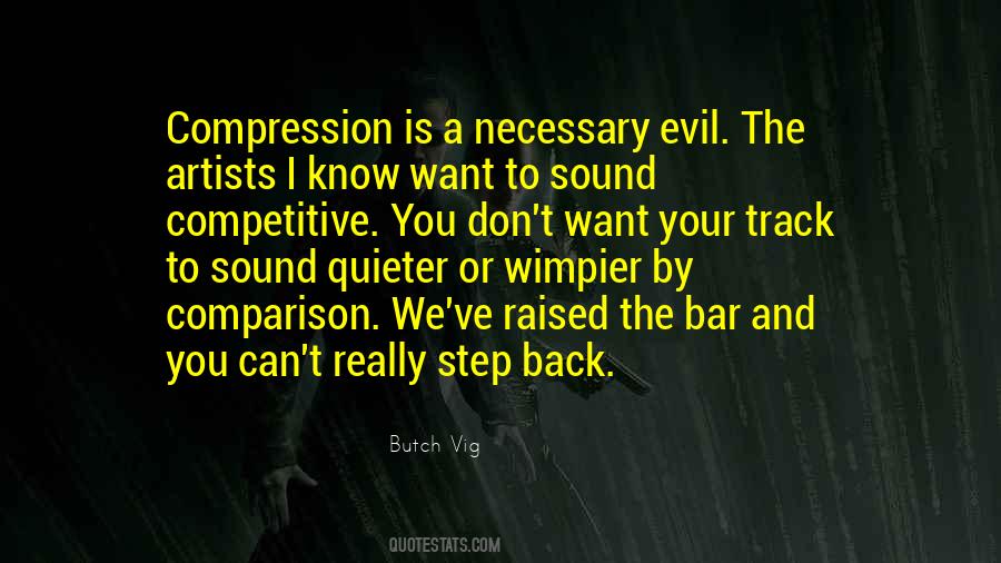 Butch Vig Quotes #1303094
