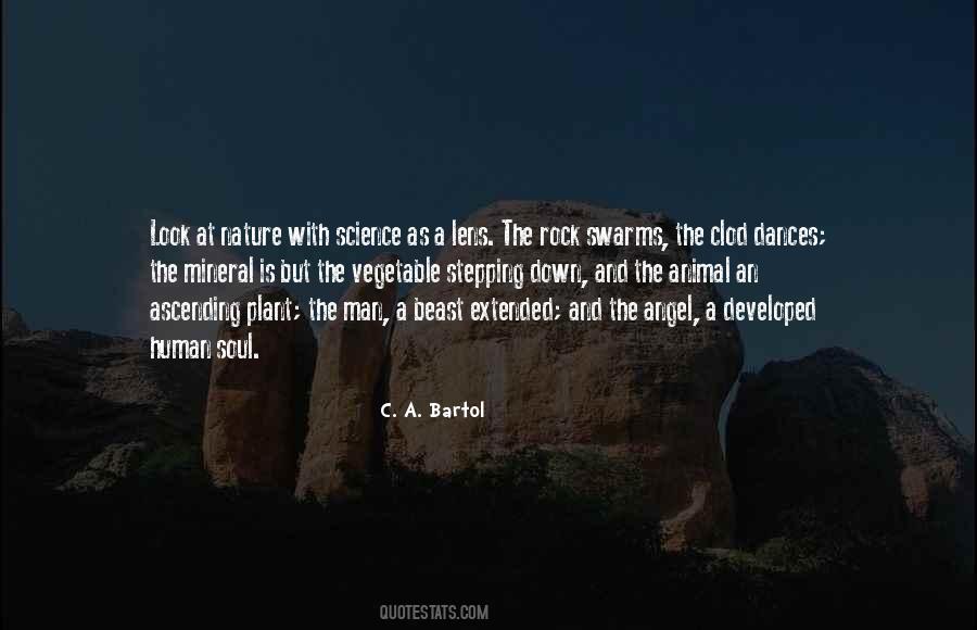 C. A. Bartol Quotes #704836