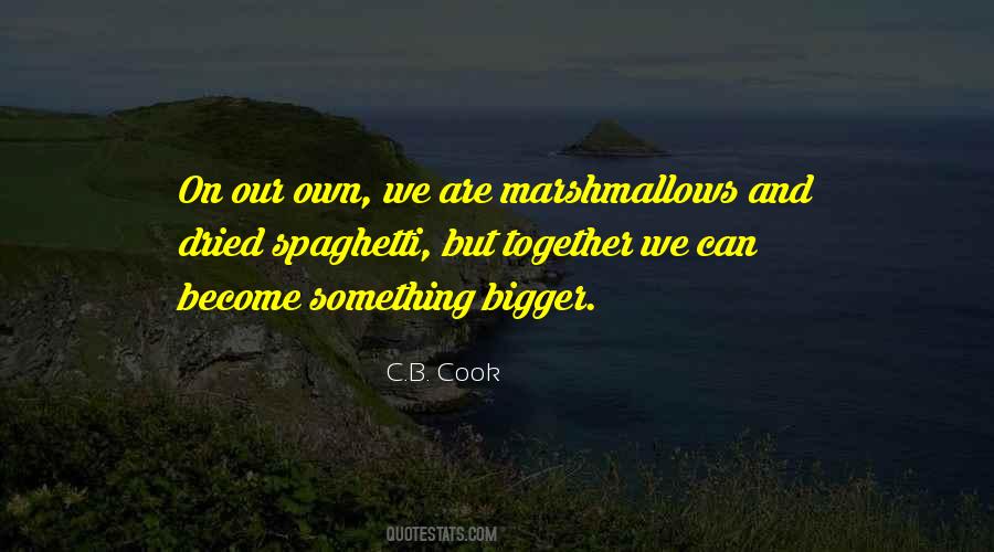 C.B. Cook Quotes #515582