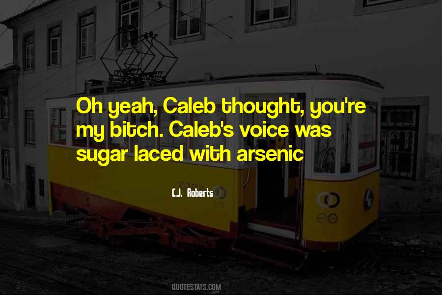 C.J. Roberts Quotes #1235846