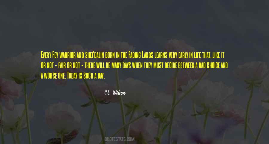 C.L. Wilson Quotes #1055094