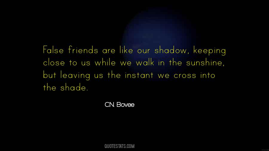 C.N. Bovee Quotes #255479