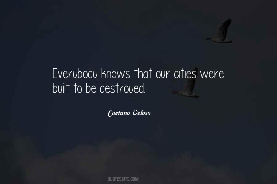 Caetano Veloso Quotes #1737552 Caetano Veloso Quotes #1737552
