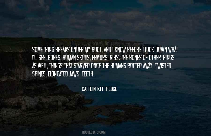 Caitlin Kittredge Quotes #1211664