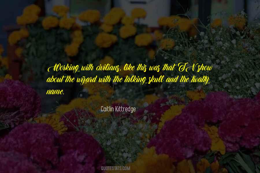 Caitlin Kittredge Quotes #1648449