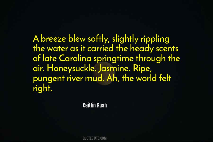 Caitlin Rush Quotes #239544