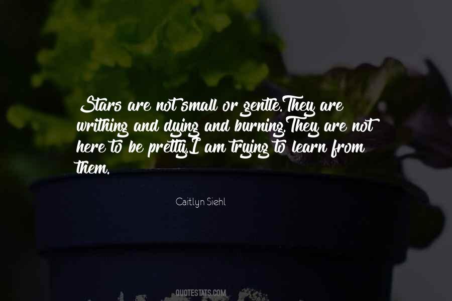 Caitlyn Siehl Quotes #1647840