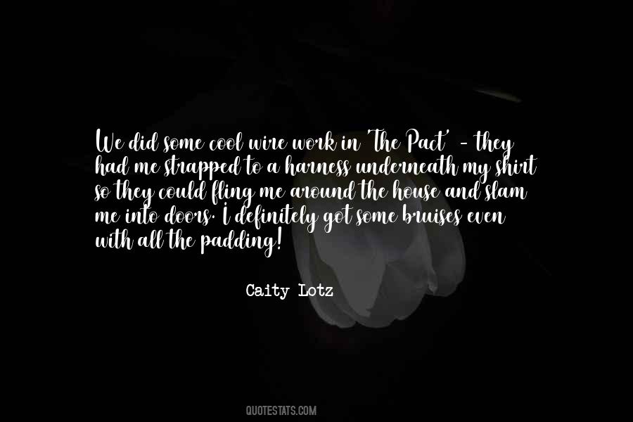 Caity Lotz Quotes #611247