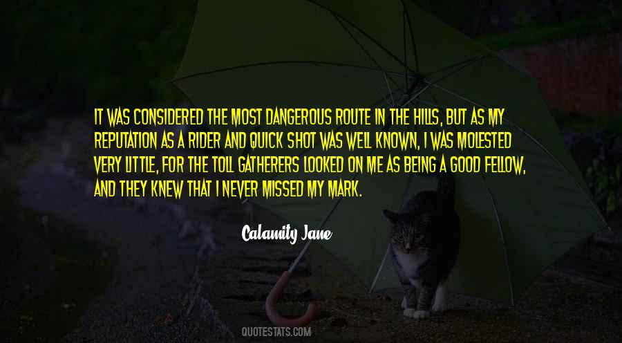 Calamity Jane Quotes #410114