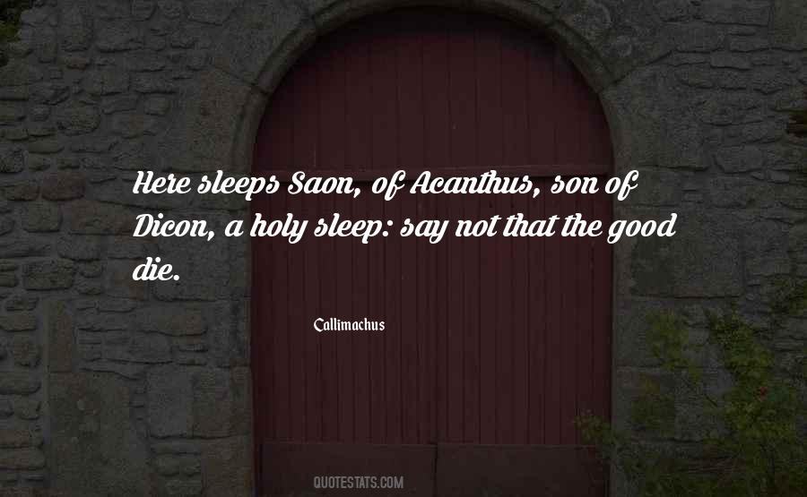 Callimachus Quotes #249344