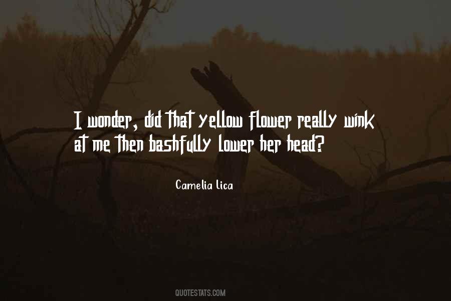 Camelia Lica Quotes #696893