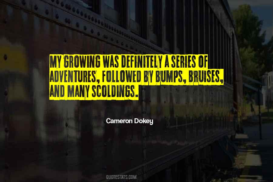 Cameron Dokey Quotes #1027614