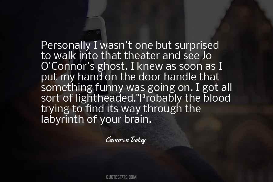 Cameron Dokey Quotes #242465