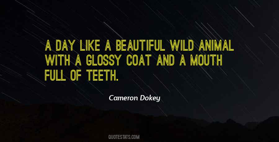 Cameron Dokey Quotes #558282