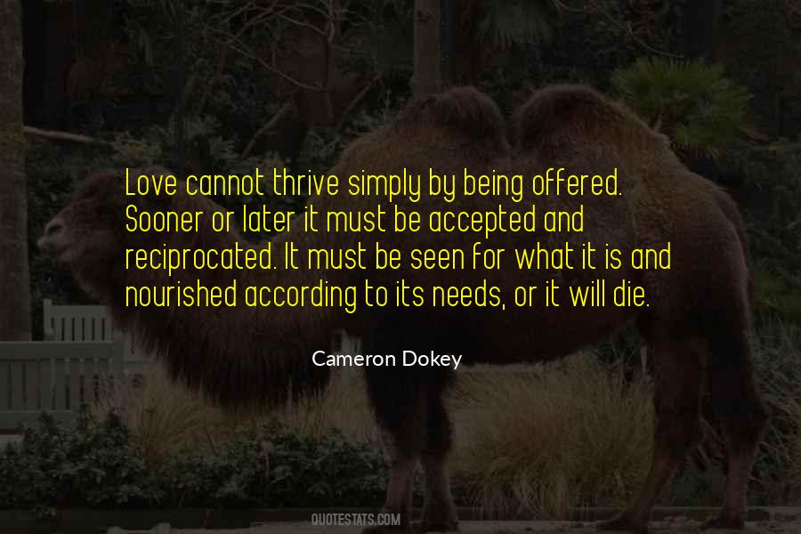 Cameron Dokey Quotes #829370