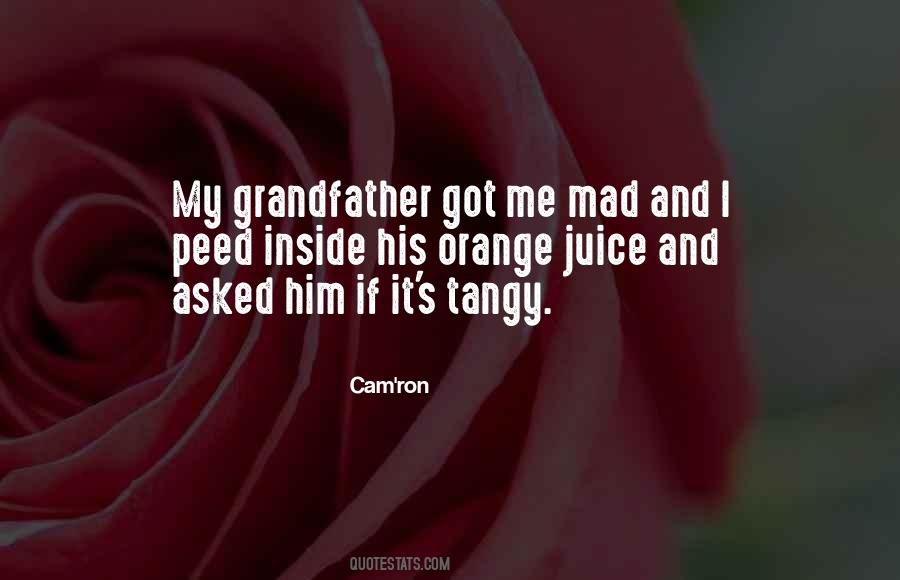 Cam'ron Quotes #1749934