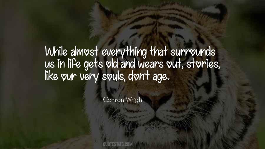 Camron Wright Quotes #1428856