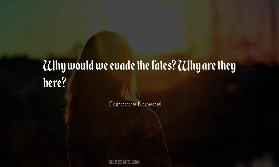 Candace Knoebel Quotes #1047109