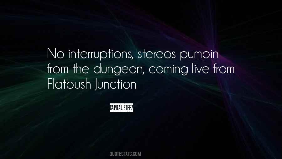 Capital STEEZ Quotes #1375536