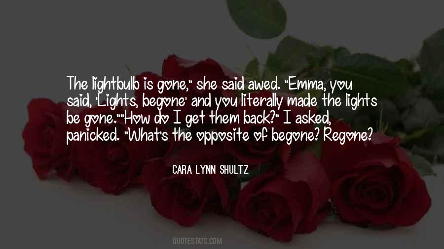 Cara Lynn Shultz Quotes #1459855