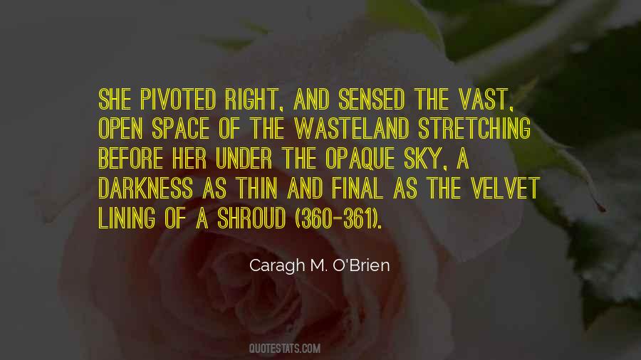 Caragh M. O'Brien Quotes #292976