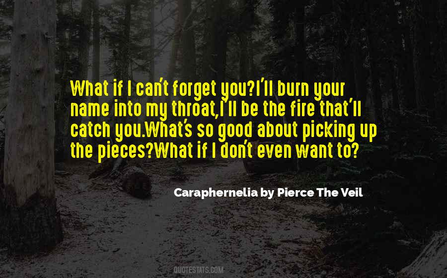 Caraphernelia By Pierce The Veil Quotes #394188