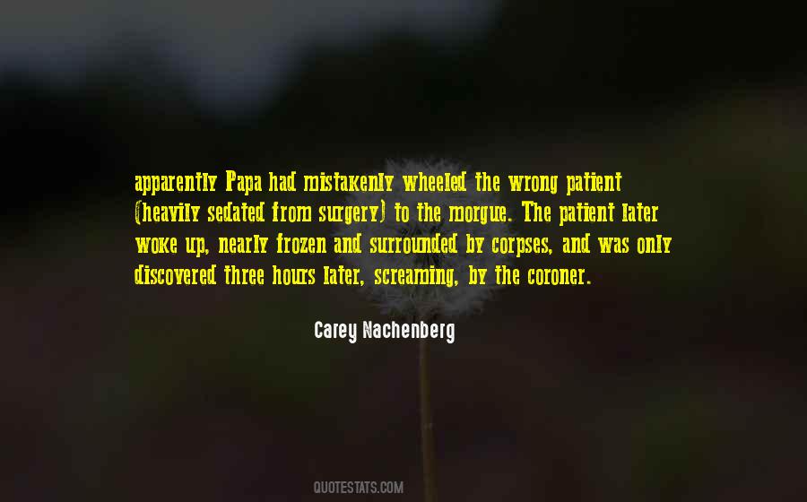 Carey Nachenberg Quotes #272393 Carey Nachenberg Quotes #272393