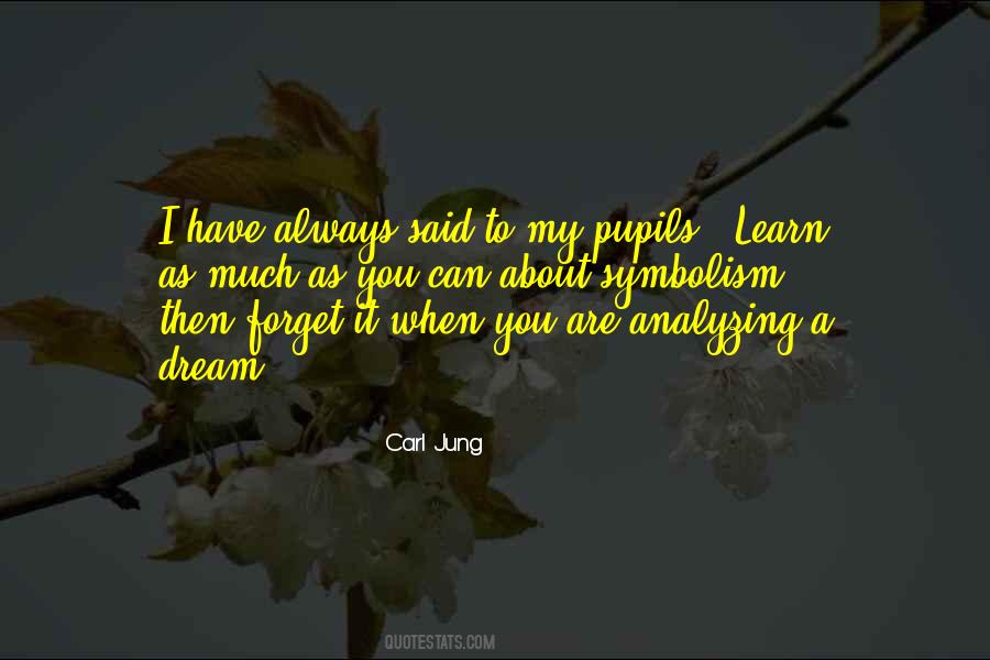 Carl Jung Quotes #1115134