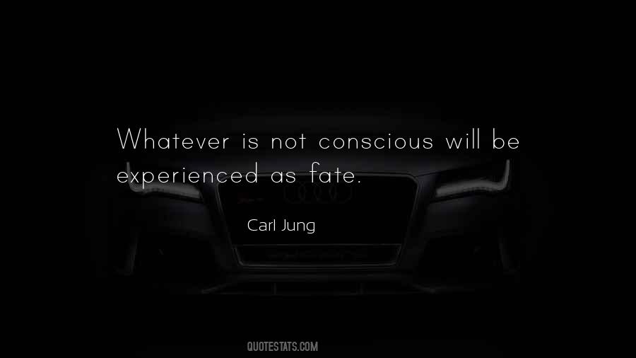 Carl Jung Quotes #866023