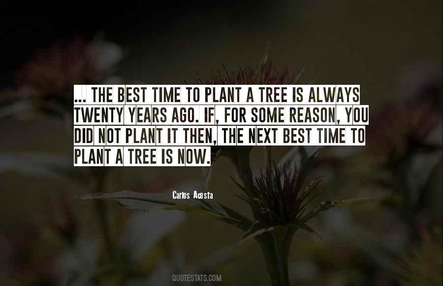 Carlos Acosta Quotes #539333 Carlos Acosta Quotes #539333