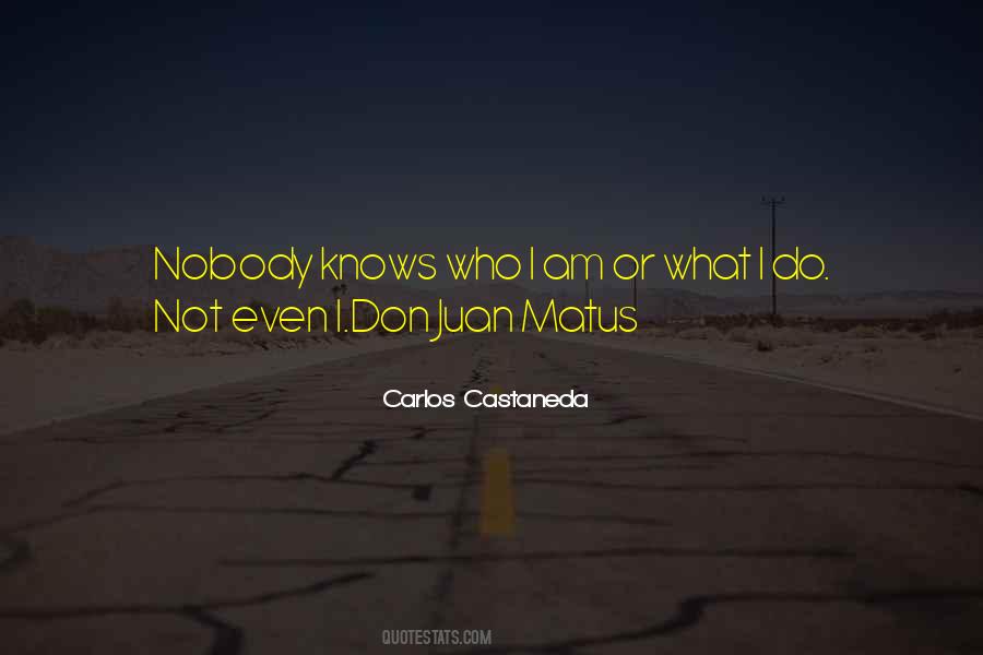 Carlos Castaneda Quotes #353324