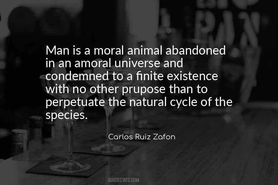 Carlos Ruiz Zafon Quotes #1839718