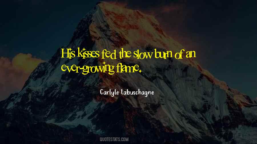 Carlyle Labuschagne Quotes #35605