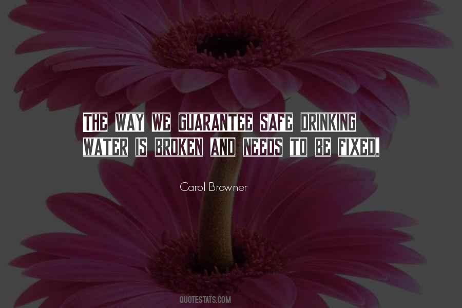 Carol Browner Quotes #696172