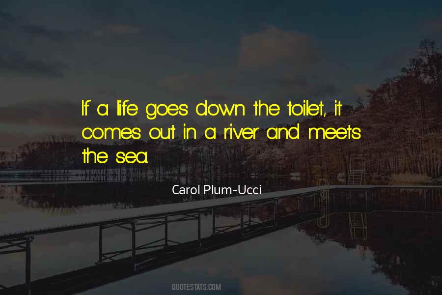 Carol Plum-Ucci Quotes #1075108