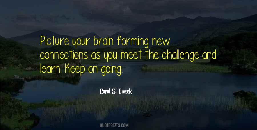 Carol S. Dweck Quotes #488063